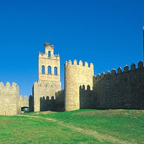 Castle representing risk management