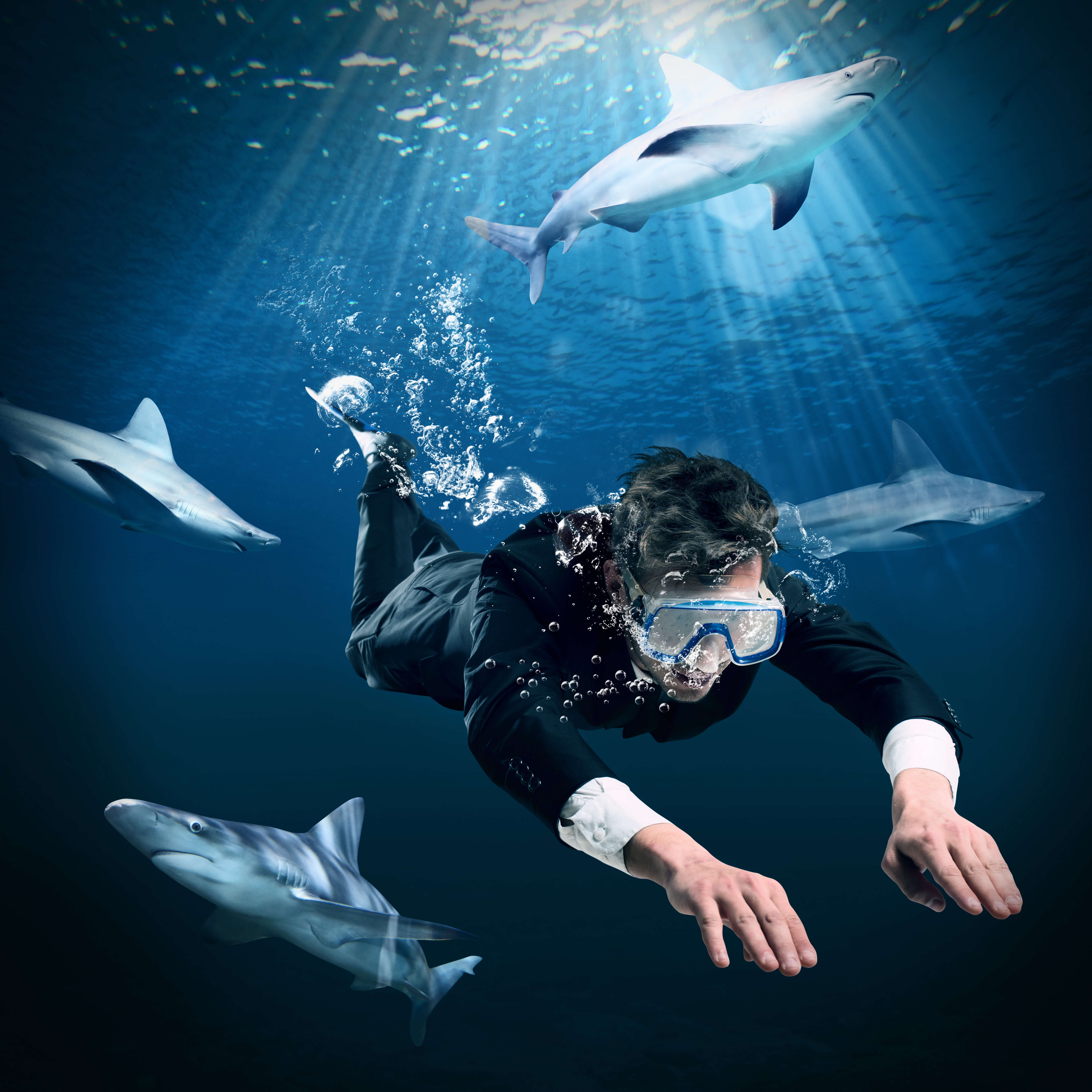 Man swims with sharks