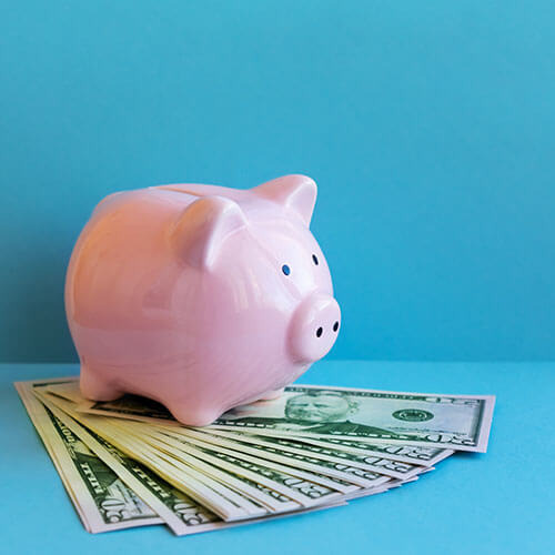 Piggy bank with money